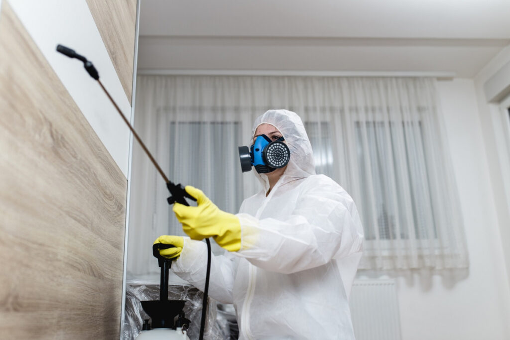 خدمة مكافحة الصراصير | شركة سين المثالية