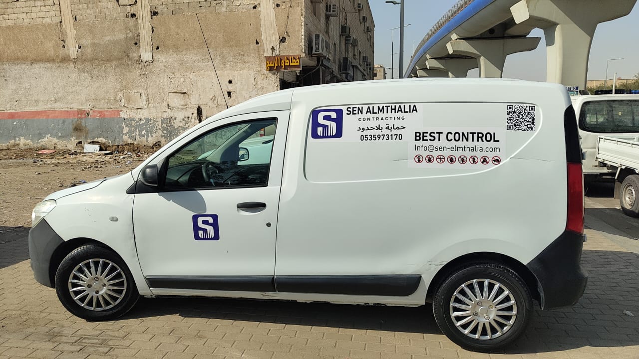 سيارة المؤسسة