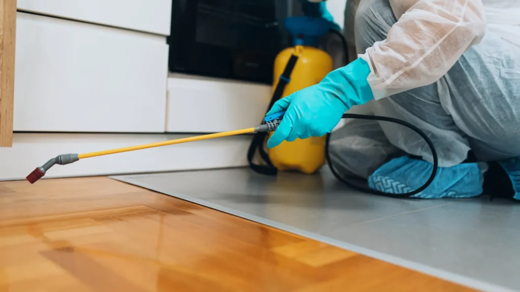 خدمة مكافحة بق الفراش | شركة سين المثالية