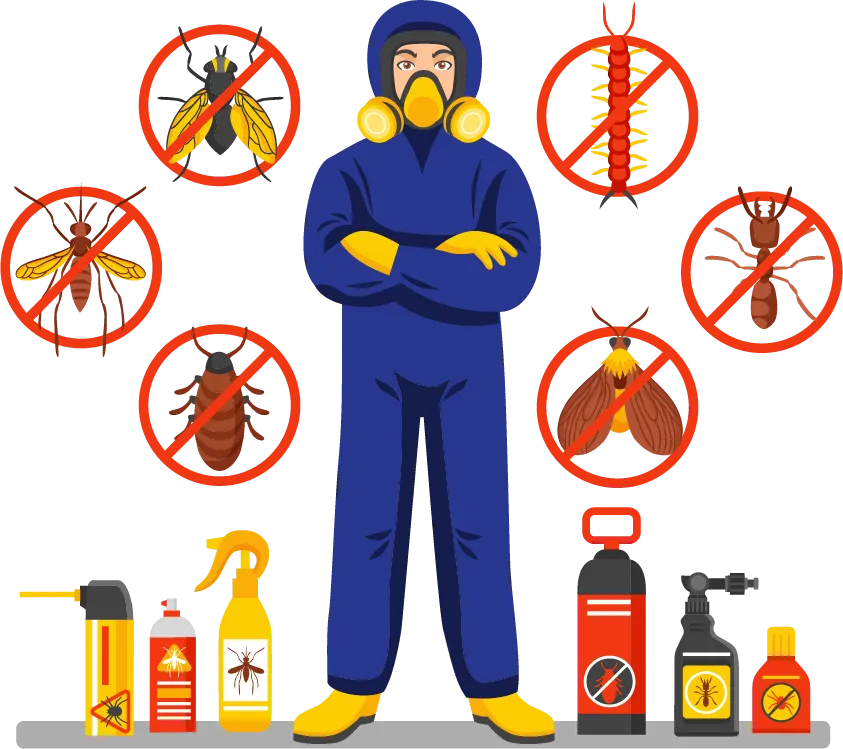 مؤسسة سين المثالية