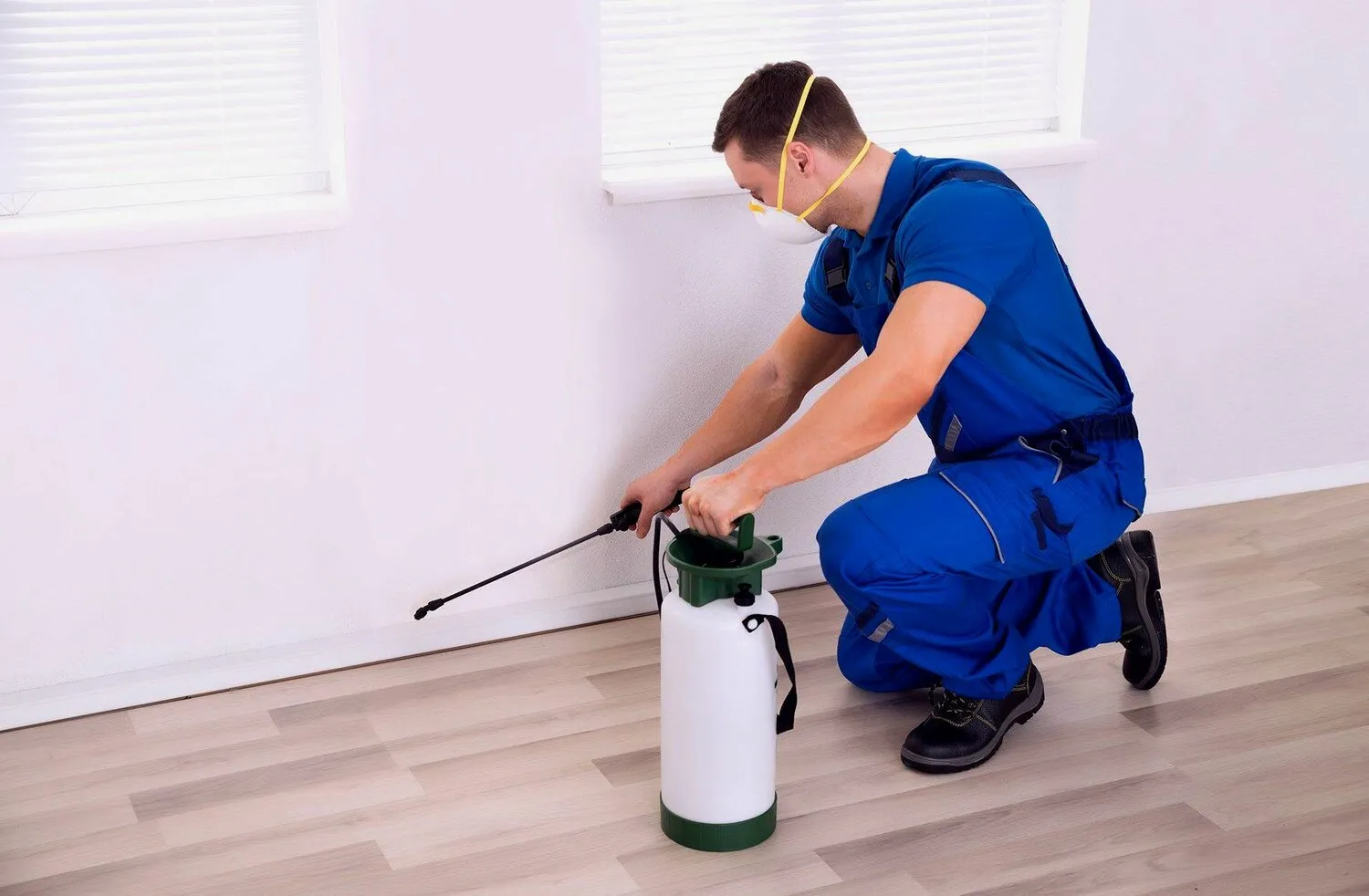 خدمة مكافحة الحشرات الطائرة | شركة سين المثالية