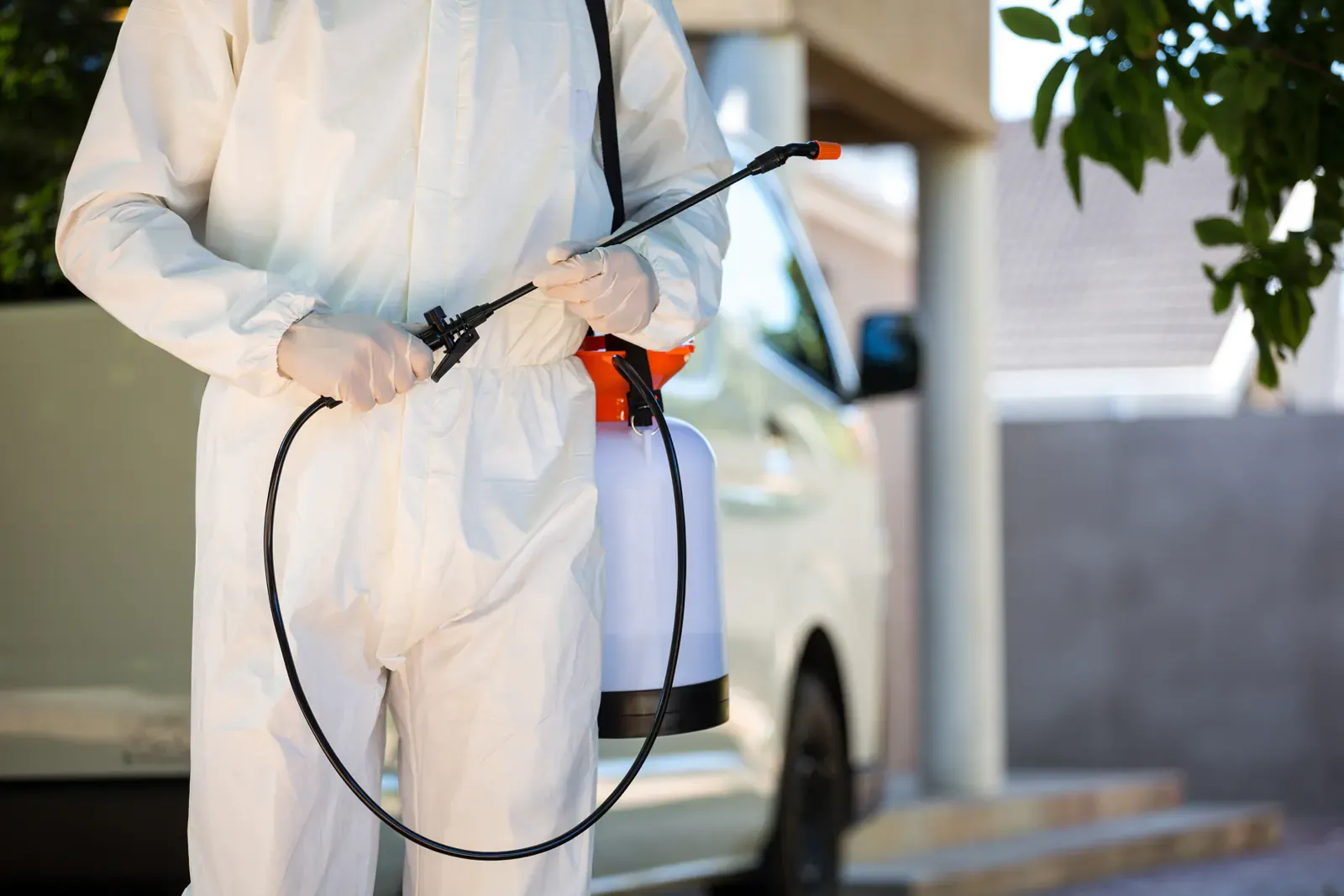 خدمة مكافحة العقارب والزواحف الصغيرة | شركة سين المثالية